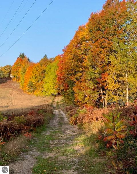 Tiny photo for 6985 Grindel Strause, Bellaire, MI 49615 (MLS # 1943700)