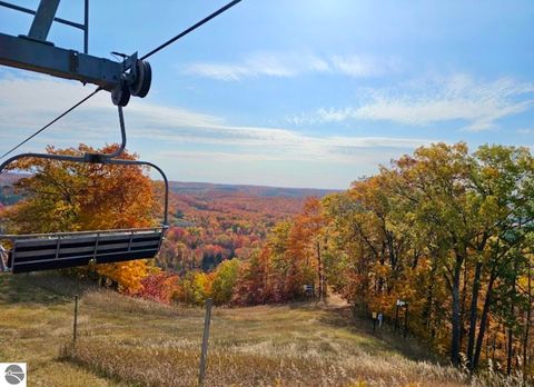 Tiny photo for 6985 Grindel Strause, Bellaire, MI 49615 (MLS # 1943700)