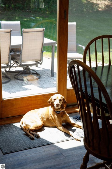 Tiny photo for 3850 Burlington Drive, Williamsburg, MI 49690 (MLS # 1943571)