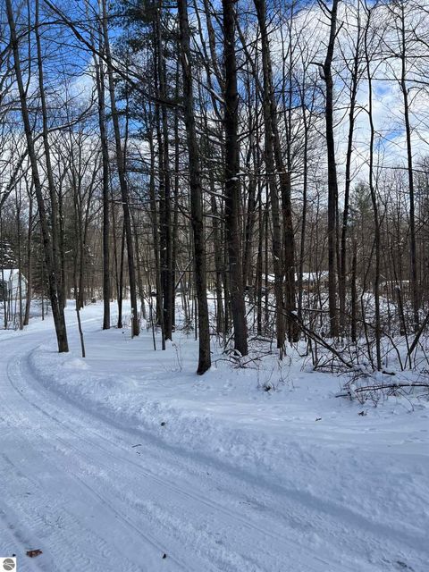 Photo of 4725 S Healy Road, Glennie, MI 48737 (MLS # 1941806)