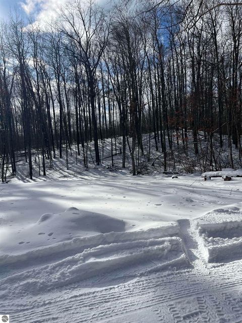 Tiny photo for 4725 S Healy Road, Glennie, MI 48737 (MLS # 1941806)