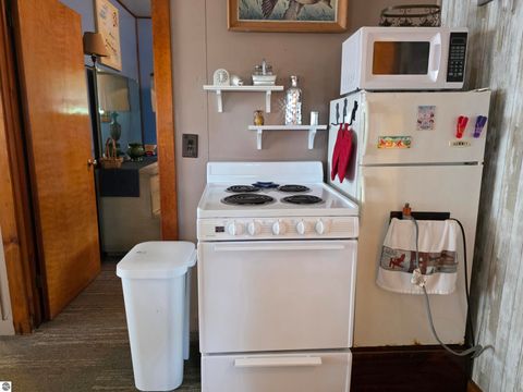 Tiny photo for 808 W Lake Street, Tawas City, MI 48763 (MLS # 1947395)