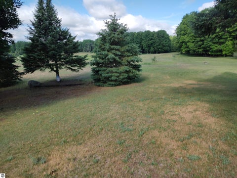 Tiny photo for 3100 Pointer Road, West Branch, MI 48661 (MLS # 1943065)