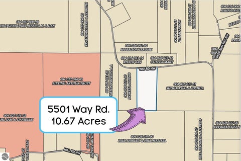 Tiny photo for 5501 Way Road, Rapid City, MI 49676 (MLS # 1949935)