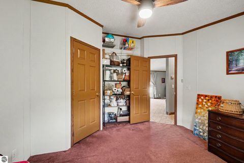 Tiny photo for 9145 Lydell Road, Farwell, MI 48622 (MLS # 1947226)