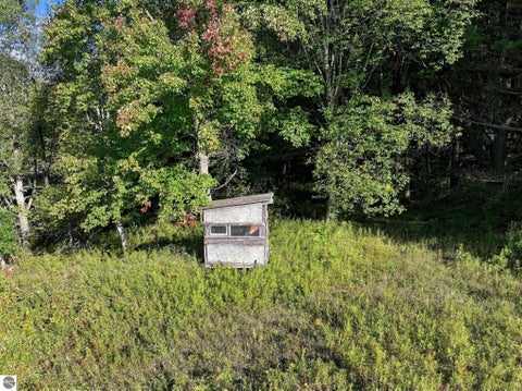 Tiny photo for 14398 15 Mile Road, Leroy, MI 49655 (MLS # 1950770)
