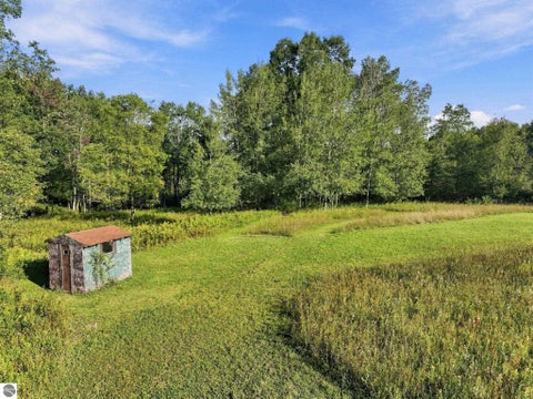 Tiny photo for 14398 15 Mile Road, Leroy, MI 49655 (MLS # 1950770)