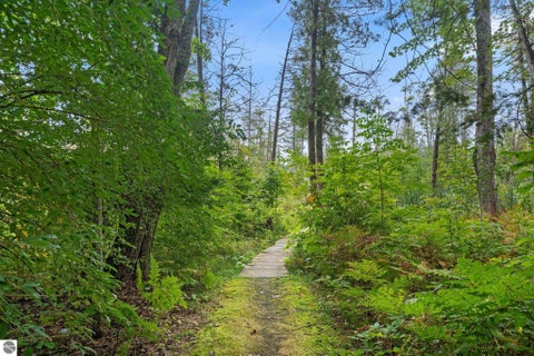 Tiny photo for 4043 Clam Lake Drive, Bellaire, MI 49615 (MLS # 1951744)