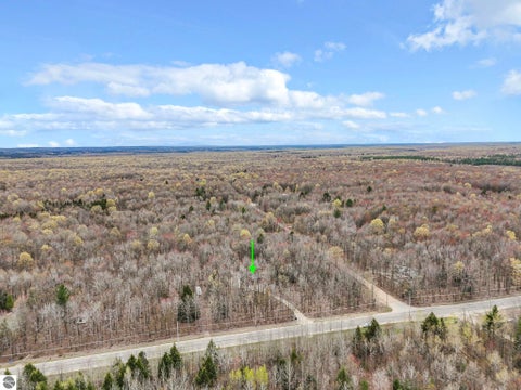 Tiny photo for 568 NE Plum Valley Road, Mancelona, MI 49659 (MLS # 1946242)