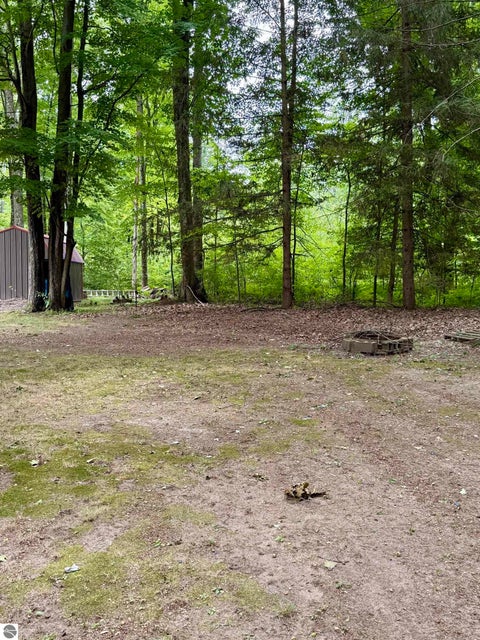 Tiny photo for 1949 Wolf Lake Drive, Baldwin, MI 49304 (MLS # 1948927)
