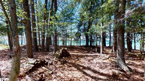 Tiny photo for 8645 Skegemog Point Road, Williamsburg, MI 49690 (MLS # 1946798)
