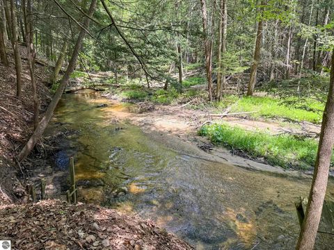Tiny photo for 2164 N Belanger Creek Drive, Suttons Bay, MI 49682 (MLS # 1942841)