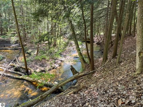Tiny photo for 2164 N Belanger Creek Drive, Suttons Bay, MI 49682 (MLS # 1942841)