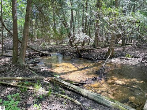 Tiny photo for 2164 N Belanger Creek Drive, Suttons Bay, MI 49682 (MLS # 1942841)