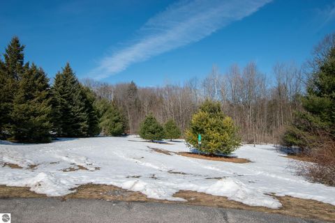 Tiny photo for 2164 N Belanger Creek Drive, Suttons Bay, MI 49682 (MLS # 1942841)