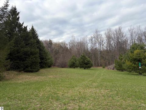 Photo of 2164 N Belanger Creek Drive, Suttons Bay, MI 49682 (MLS # 1942841)