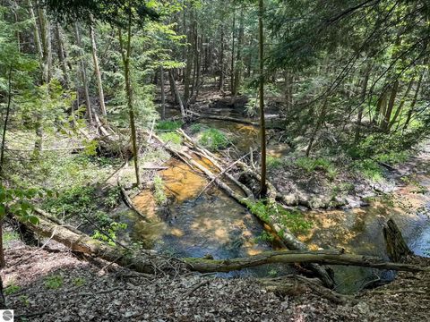 Tiny photo for 2164 N Belanger Creek Drive, Suttons Bay, MI 49682 (MLS # 1942841)