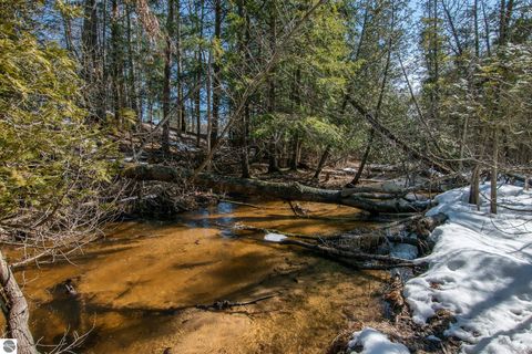 Tiny photo for 2164 N Belanger Creek Drive, Suttons Bay, MI 49682 (MLS # 1942841)