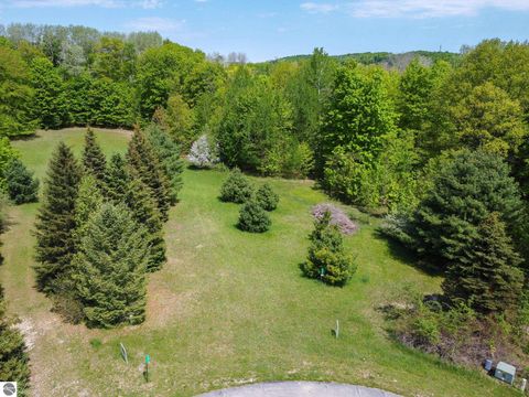 Photo of 2164 N Belanger Creek Drive, Suttons Bay, MI 49682 (MLS # 1942841)