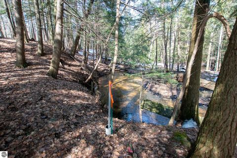 Tiny photo for 2164 N Belanger Creek Drive, Suttons Bay, MI 49682 (MLS # 1942841)