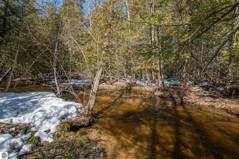 Tiny photo for 2164 N Belanger Creek Drive, Suttons Bay, MI 49682 (MLS # 1942841)