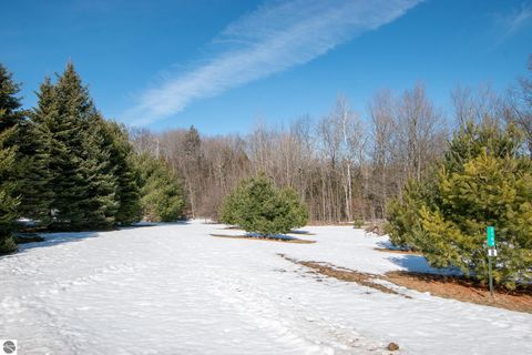 Tiny photo for 2164 N Belanger Creek Drive, Suttons Bay, MI 49682 (MLS # 1942841)
