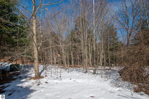 Tiny photo for 2164 N Belanger Creek Drive, Suttons Bay, MI 49682 (MLS # 1942841)