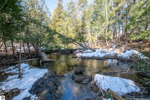 Tiny photo for 2164 N Belanger Creek Drive, Suttons Bay, MI 49682 (MLS # 1942841)
