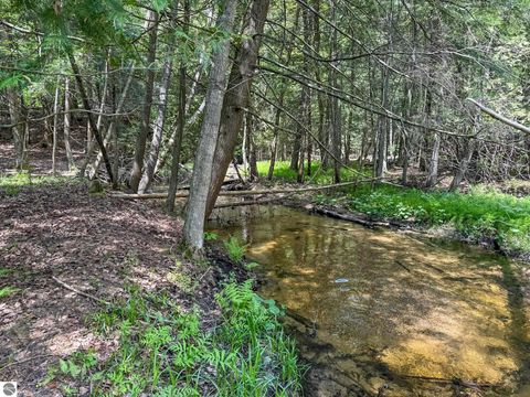 Tiny photo for 2164 N Belanger Creek Drive, Suttons Bay, MI 49682 (MLS # 1942841)