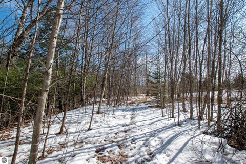 Tiny photo for 2164 N Belanger Creek Drive, Suttons Bay, MI 49682 (MLS # 1942841)