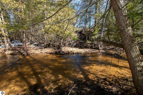 Tiny photo for 2164 N Belanger Creek Drive, Suttons Bay, MI 49682 (MLS # 1942841)