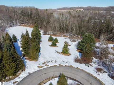 Photo of 2164 N Belanger Creek Drive, Suttons Bay, MI 49682 (MLS # 1942841)