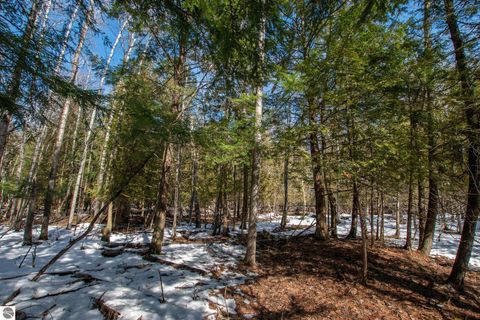 Tiny photo for 2164 N Belanger Creek Drive, Suttons Bay, MI 49682 (MLS # 1942841)