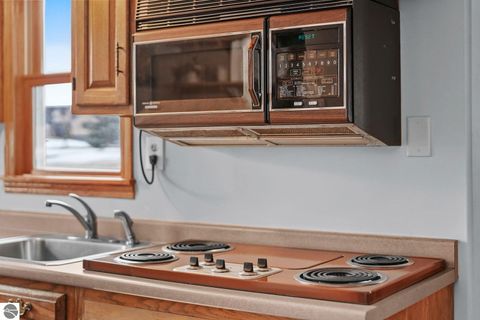 Tiny photo for 9351 E 50 Road, Cadillac, MI 49601 (MLS # 1942763)