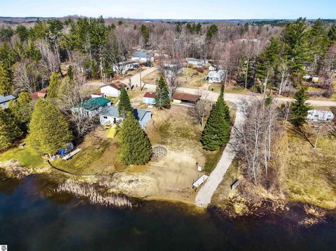 Tiny photo for 21187 Parkview Road, Tustin, MI 49688 (MLS # 1943581)