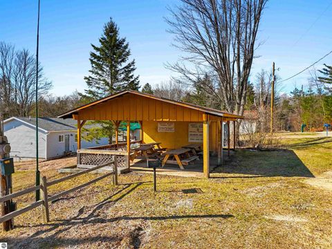 Tiny photo for 21187 Parkview Road, Tustin, MI 49688 (MLS # 1943581)