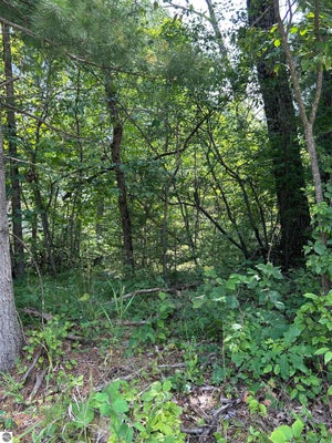 CHOCTAW TRL, WEST BRANCH, MI 48661 - Image e99b459413efe33dfd1f5e7c190d4024/2778800642
