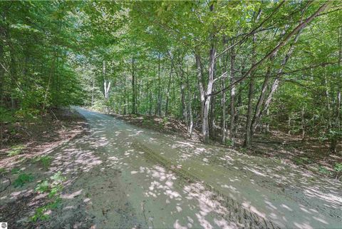 Tiny photo for 4360 Independence Drive, Suttons Bay, MI 49682 (MLS # 1942613)