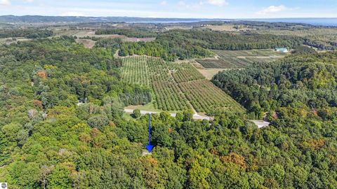 Tiny photo for 4360 Independence Drive, Suttons Bay, MI 49682 (MLS # 1942613)