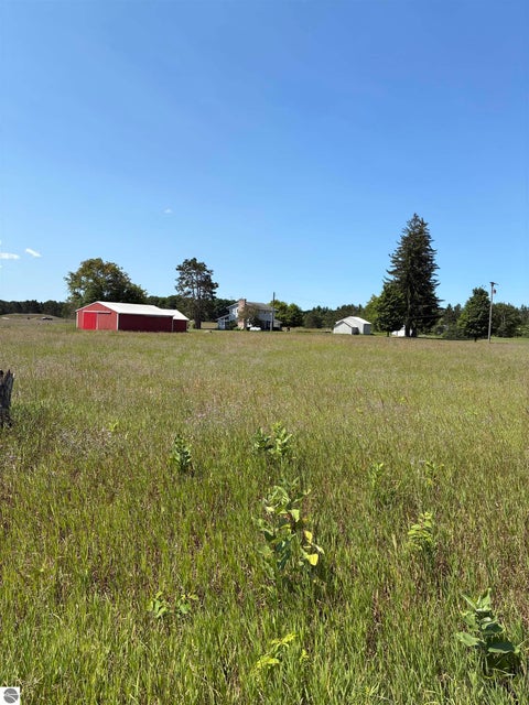 Tiny photo for 3996 Doerr Road, Mancelona, MI 49659 (MLS # 1948858)