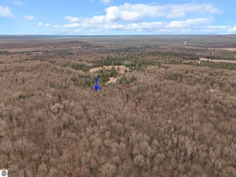 Tiny photo for 11470 SW Lund School Road, Fife Lake, MI 49633 (MLS # 1943804)
