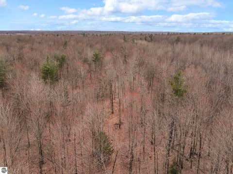 Tiny photo for 11470 SW Lund School Road, Fife Lake, MI 49633 (MLS # 1943804)