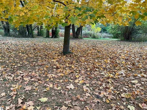 Tiny photo for 1175 W Fillmore Road, Ithaca, MI 48847 (MLS # 1952053)