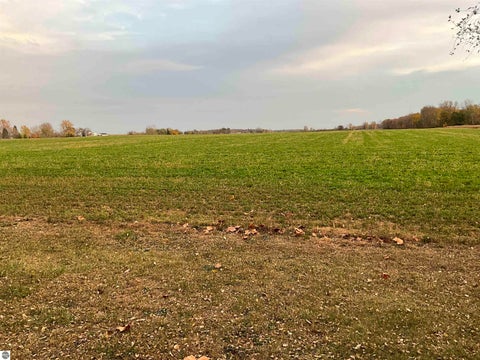 Tiny photo for 1175 W Fillmore Road, Ithaca, MI 48847 (MLS # 1952053)