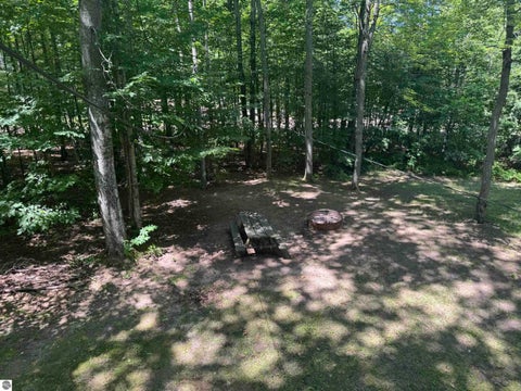 Tiny photo for 6700 NE Park Drive, Kalkaska, MI 49646 (MLS # 1948547)