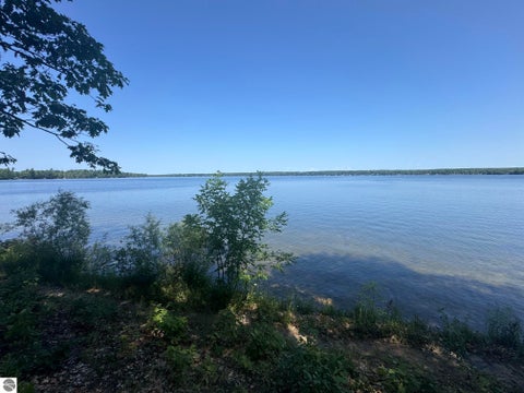 Tiny photo for 6700 NE Park Drive, Kalkaska, MI 49646 (MLS # 1948547)