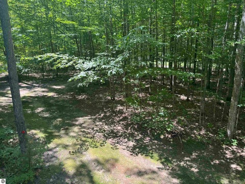 Tiny photo for 6700 NE Park Drive, Kalkaska, MI 49646 (MLS # 1948547)