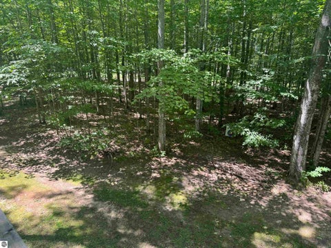 Tiny photo for 6700 NE Park Drive, Kalkaska, MI 49646 (MLS # 1948547)