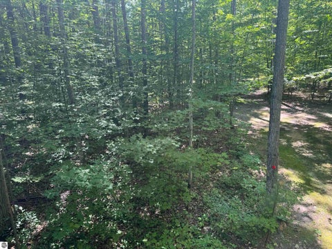 Tiny photo for 6700 NE Park Drive, Kalkaska, MI 49646 (MLS # 1948547)
