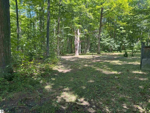 Tiny photo for 6700 NE Park Drive, Kalkaska, MI 49646 (MLS # 1948547)